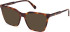 Gant GA50080 sunglasses in Dark Havana