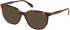 Gant GA50081 sunglasses in Dark Havana