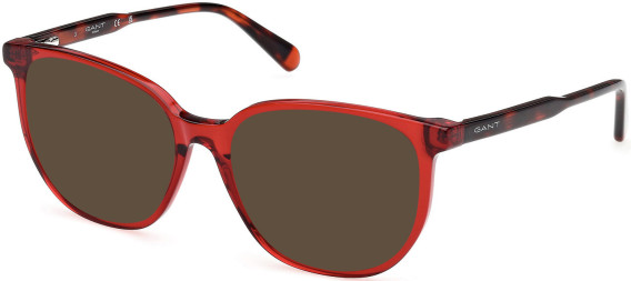 Gant GA50081 sunglasses in Shiny Bordeaux