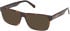 Gant GA50089 sunglasses in Dark Havana