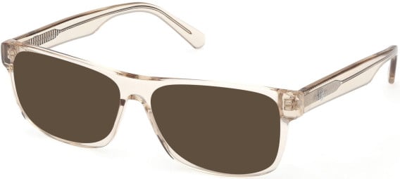 Gant GA50089 sunglasses in Shiny Beige