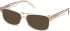 Gant GA50089 sunglasses in Shiny Beige