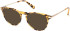 Gant GA50092 sunglasses in Coloured Havana