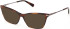 Gant GA50093 sunglasses in Dark Havana