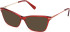 Gant GA50093 sunglasses in Shiny Bordeaux