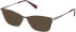 Gant GA50094 sunglasses in Matte Black