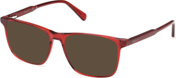 Gant GA50095-53 sunglasses in Shiny Bordeaux