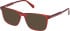 Gant GA50095-53 sunglasses in Shiny Bordeaux