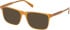 Gant GA50095-55 sunglasses in Shiny Dark Yellow