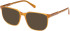 Gant GA50096 sunglasses in Shiny Dark Yellow