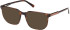 Gant GA50096 sunglasses in Dark Havana