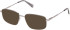 Gant GA50097-55 sunglasses in Shiny Light Ruthenium