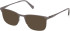 Gant GA50100 sunglasses in Matte Gunmetal