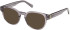 Gant GA50102-49 sunglasses in Shiny Grey