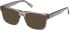 Gant GA50103 sunglasses in Shiny Grey