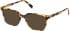 Gant GA50108-51 sunglasses in Blonde Havana
