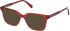 Gant GA50108-51 sunglasses in Shiny Bordeaux