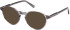 Gant GA50109 sunglasses in Shiny Grey