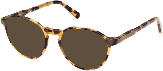 Gant GA50109 sunglasses in Blonde Havana