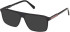 Gant GA50110 sunglasses in Shiny Black
