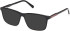 Gant GA50111 sunglasses in Shiny Black