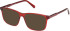 Gant GA50111 sunglasses in Shiny Bordeaux