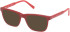 Gant GA50114 sunglasses in Shiny Bordeaux