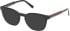 Gant GA50115 sunglasses in Shiny Black