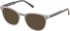 Gant GA50115 sunglasses in Shiny Grey