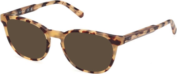Gant GA50115 sunglasses in Blonde Havana