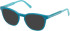 Gant GA50115 sunglasses in Shiny Dark Green