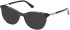 Guess GU2657-N sunglasses in Dark Green/Havana