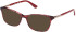 Guess GU2658-N sunglasses in Red/Havana