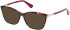 Guess GU2880-52 sunglasses in Red Havana