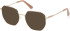 Guess GU2935-54 sunglasses in Gold/Beige