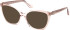 Guess GU2965 sunglasses in Nude Transparent