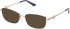 Guess GU2975 sunglasses in Shiny Grey