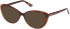 Guess GU2978 sunglasses in Dark Havana