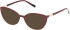 Guess GU3044 sunglasses in Shiny Bordeaux
