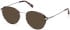 Guess GU50079 sunglasses in Grey/Striped