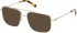 Guess GU50097 sunglasses in Shiny Pale Gold