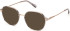 Guess GU50098 sunglasses in Shiny Grey