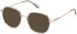 Guess GU50098 sunglasses in Shiny Light Green
