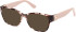 Guess GU50120-52 sunglasses in Coloured Havana
