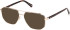 Guess GU50135 sunglasses in Shiny Pale Gold