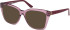 Guess GU50173 sunglasses in Shiny Violet