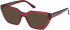 Guess GU50176 sunglasses in Shiny Bordeaux