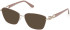 Guess GU50179-55 sunglasses in Matte Beige
