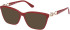 Guess GU50181 sunglasses in Shiny Dark Red