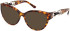 Guess GU50182 sunglasses in Blonde Havana